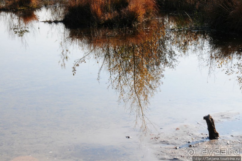 Золотая осень Брюнссума