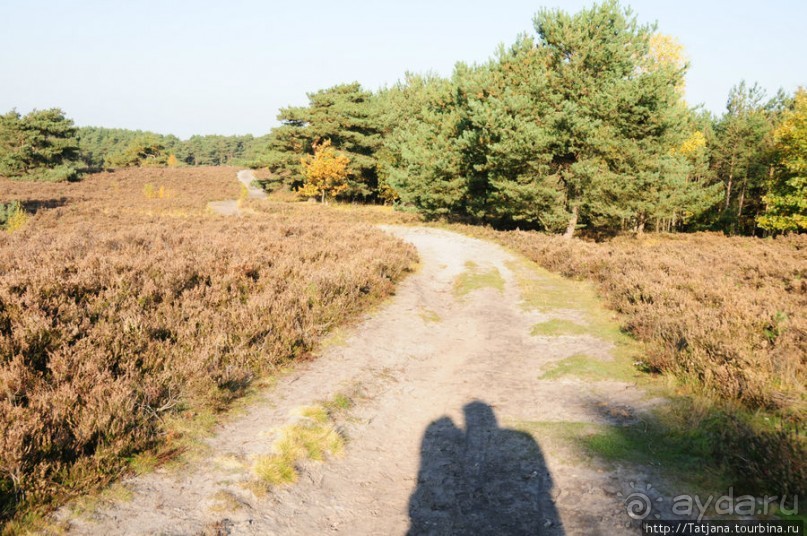 Золотая осень Брюнссума