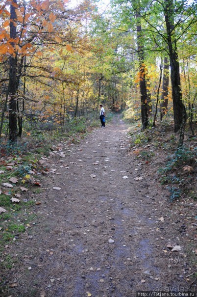 Золотая осень Брюнссума