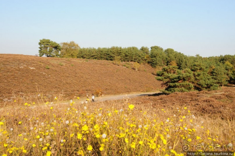 Золотая осень Брюнссума