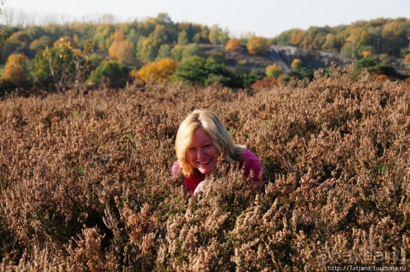 Золотая осень Брюнссума