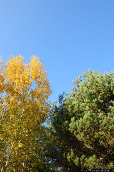 Золотая осень Брюнссума