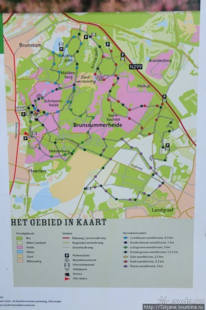 Золотая осень Брюнссума