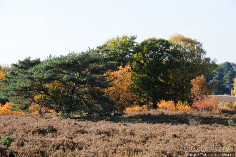 Золотая осень Брюнссума