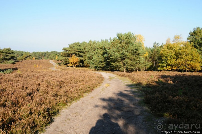 Золотая осень Брюнссума