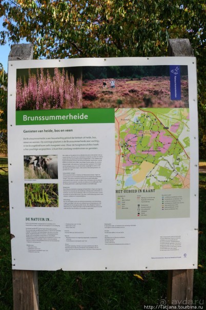 Золотая осень Брюнссума