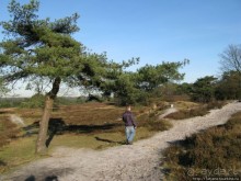 Лесопарк в Брюнссуме