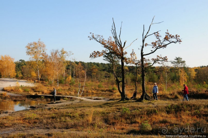 Лесопарк в Брюнссуме