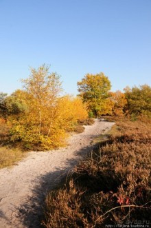 Лесопарк в Брюнссуме