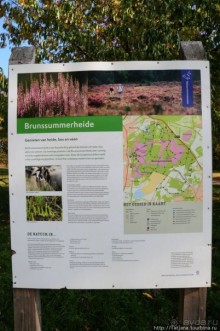 Лесопарк в Брюнссуме