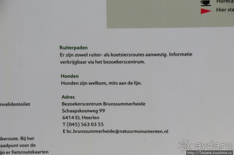 Лесопарк в Брюнссуме