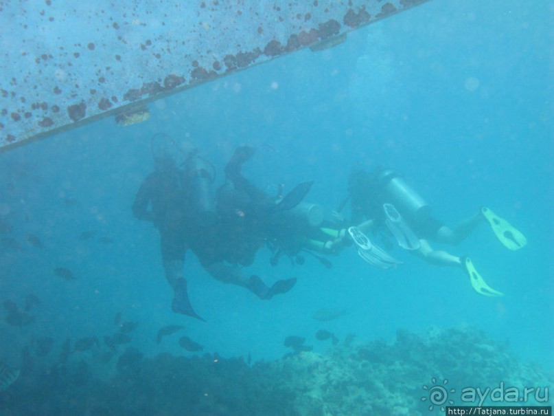 Получить за неделю диплом дайвера "PADI" OPEN WATER DIVER