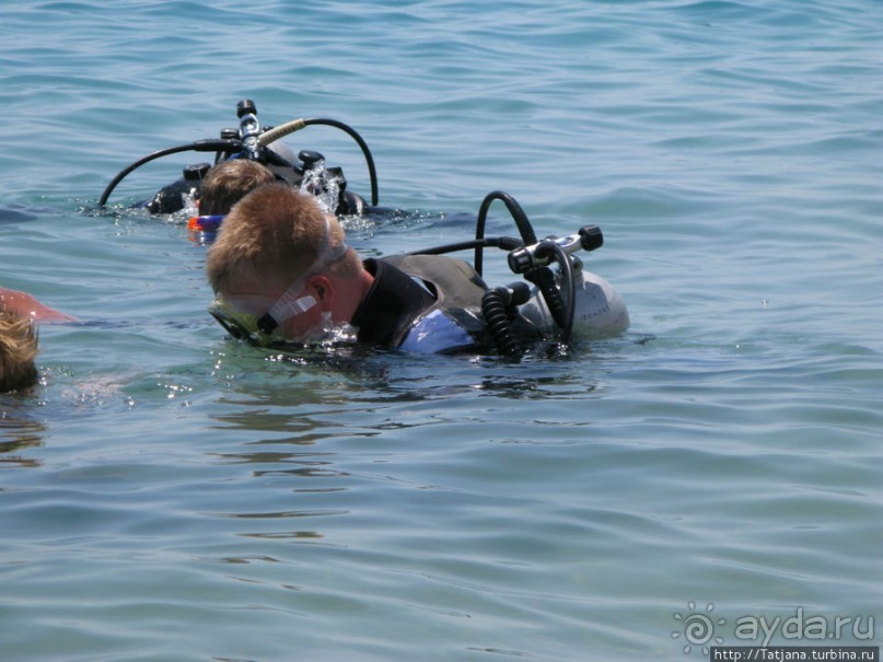 Получить за неделю диплом дайвера "PADI" OPEN WATER DIVER