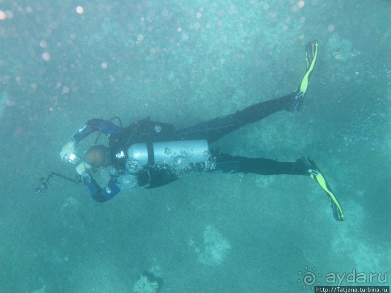 Получить за неделю диплом дайвера "PADI" OPEN WATER DIVER