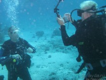 Получить за неделю диплом дайвера "PADI" OPEN WATER DIVER