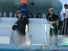 Получить за неделю диплом дайвера "PADI" OPEN WATER DIVER