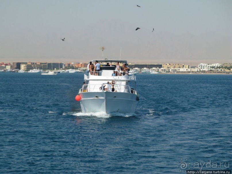 Получить за неделю диплом дайвера "PADI" OPEN WATER DIVER