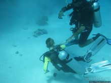 Получить за неделю диплом дайвера "PADI" OPEN WATER DIVER