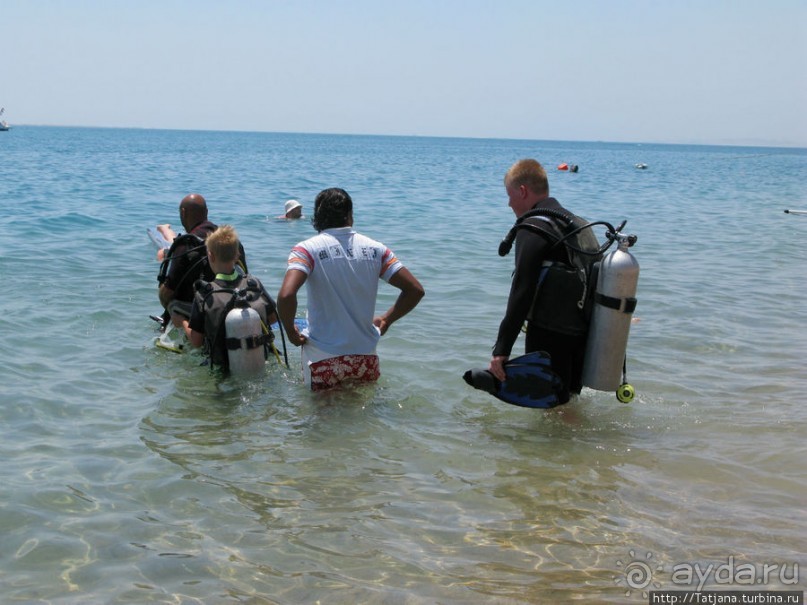 Получить за неделю диплом дайвера "PADI" OPEN WATER DIVER
