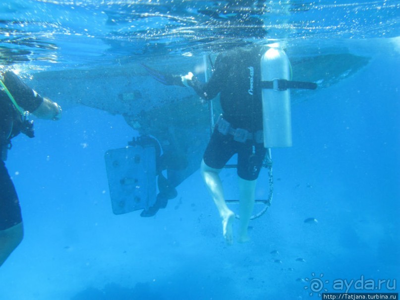 Получить за неделю диплом дайвера "PADI" OPEN WATER DIVER