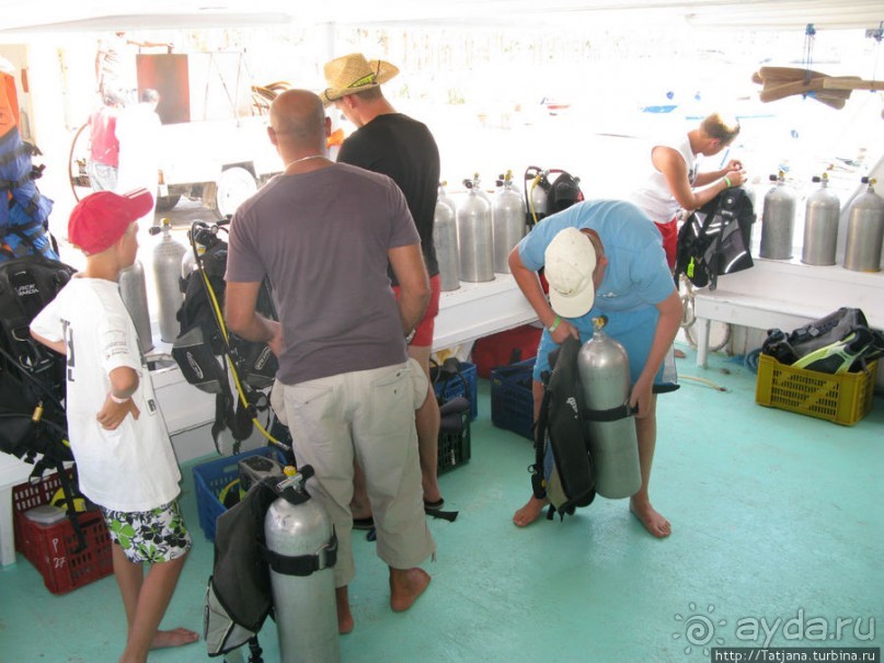 Получить за неделю диплом дайвера "PADI" OPEN WATER DIVER