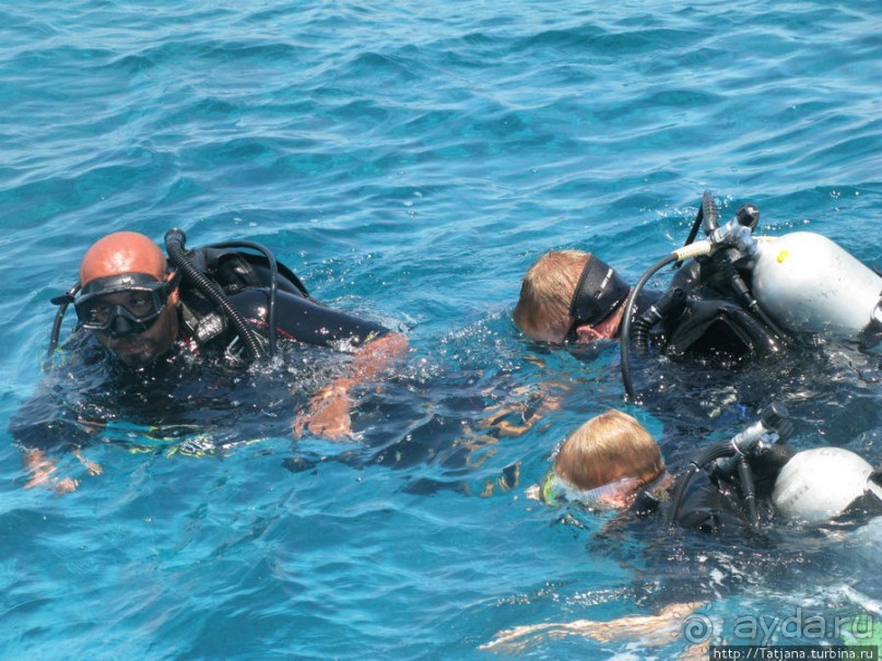 Получить за неделю диплом дайвера "PADI" OPEN WATER DIVER