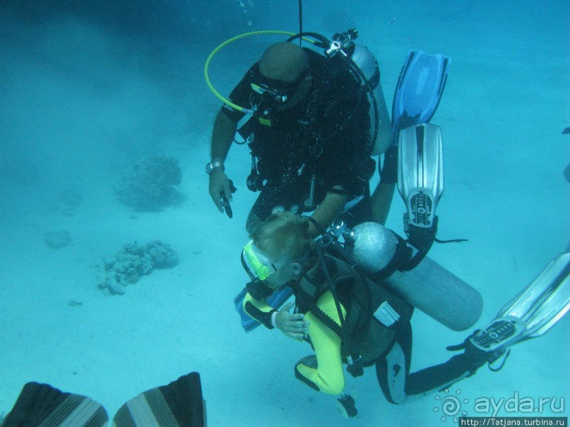 Получить за неделю диплом дайвера "PADI" OPEN WATER DIVER