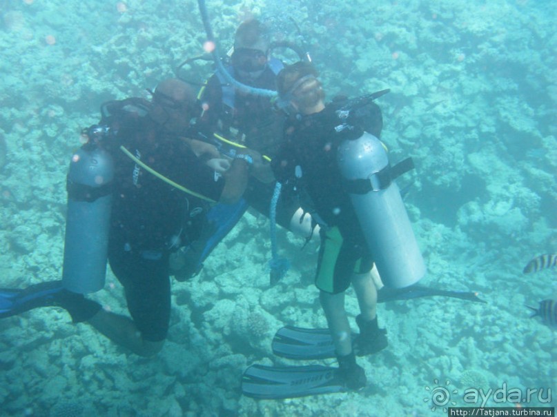 Получить за неделю диплом дайвера "PADI" OPEN WATER DIVER