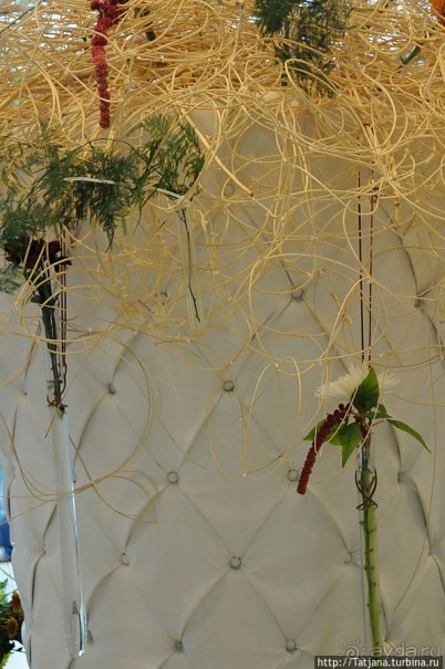 Выставка цветов в Голландии "Floriada"