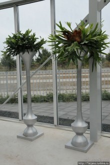 Выставка цветов в Голландии "Floriada"