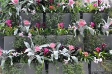 Выставка цветов в Голландии "Floriada"