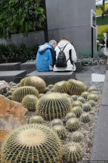 Выставка цветов в Голландии "Floriada"