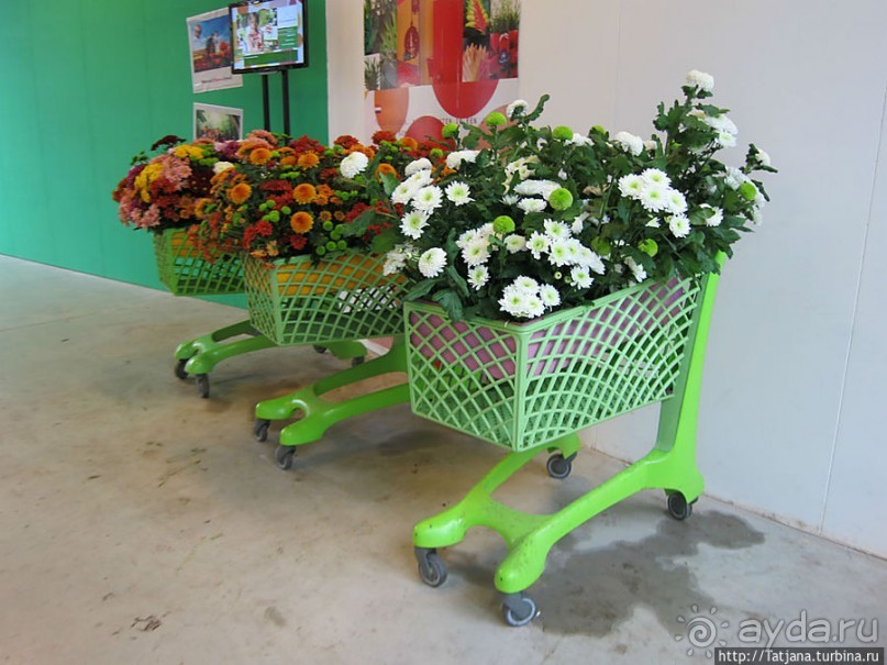 Выставка цветов в Голландии "Floriada"