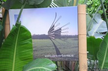 Выставка цветов в Голландии "Floriada"