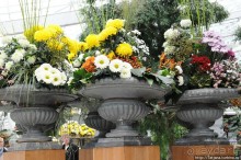 Выставка цветов в Голландии "Floriada"