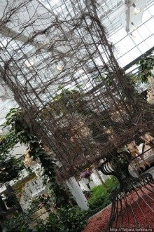 Выставка цветов в Голландии "Floriada"