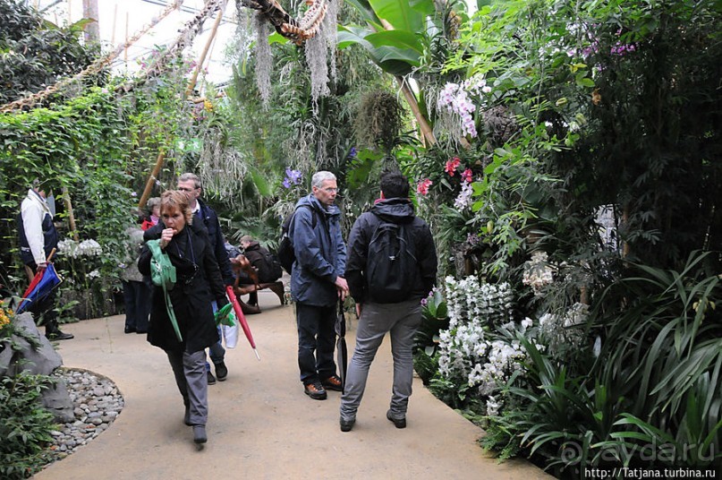 Выставка цветов в Голландии "Floriada"