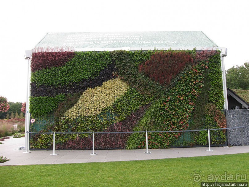 Выставка цветов в Голландии "Floriada"