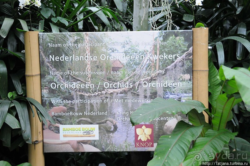 Выставка цветов в Голландии "Floriada"