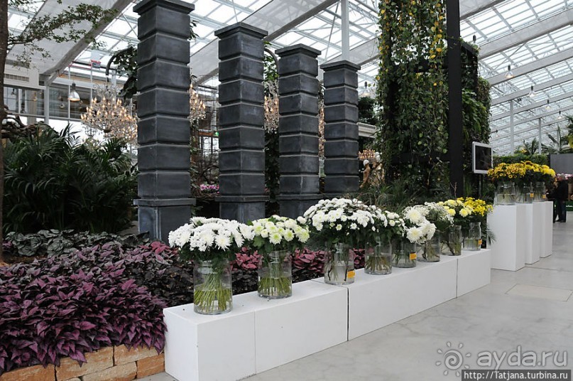 Выставка цветов в Голландии "Floriada"