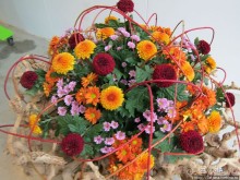 Выставка цветов в Голландии "Floriada"