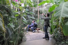 Выставка цветов в Голландии "Floriada"