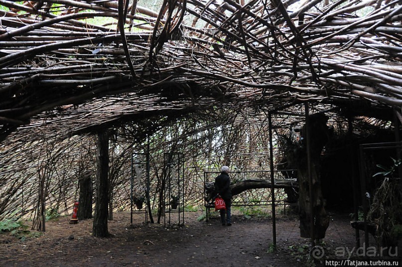 Выставка цветов в Голландии "Floriada"