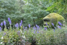 Выставка цветов в Голландии "Floriada"