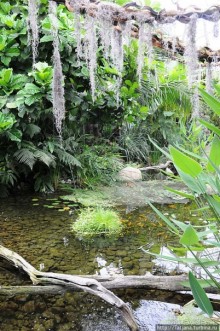 Выставка цветов в Голландии "Floriada"