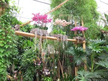 Выставка цветов в Голландии "Floriada"