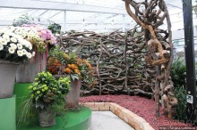 Выставка цветов в Голландии "Floriada"