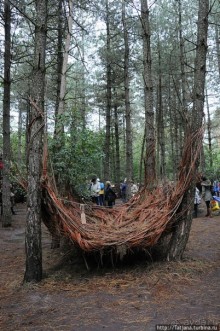 Выставка цветов в Голландии "Floriada"