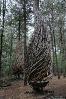 Выставка цветов в Голландии "Floriada"