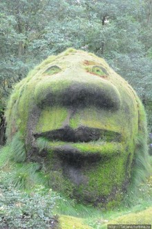 Выставка цветов в Голландии "Floriada"